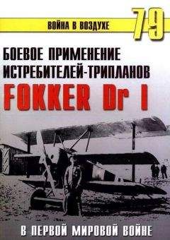 С. Иванов - Боевое применение трипланов Fokker Dr I в Первой Мировой войне - Читать 📖 Читать онлайн 👀 Читаемые книги читать онлайн бесплатно 🔥 booksread-online.com