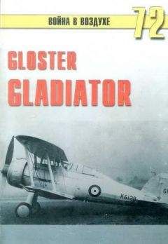 С. Иванов - Gloster Gladiator - Читать 📖 Читать онлайн 👀 Читаемые книги читать онлайн бесплатно 🔥 booksread-online.com