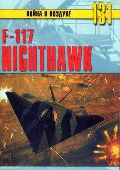 Михаил Никольский - F-117 Nighthawk - Читать 📖 Читать онлайн 👀 Читаемые книги читать онлайн бесплатно 🔥 booksread-online.com