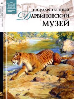 А. Васильева - Государственный Дарвиновский музей Москва - Читать 📖 Читать онлайн 👀 Читаемые книги читать онлайн бесплатно 🔥 booksread-online.com