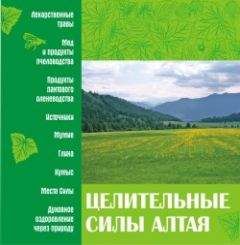 Коллектив Авторов - Целительные силы Алтая - Читать 📖 Читать онлайн 👀 Читаемые книги читать онлайн бесплатно 🔥 booksread-online.com