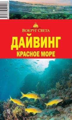 Андрей Рянский - Дайвинг. Красное море - Читать 📖 Читать онлайн 👀 Читаемые книги читать онлайн бесплатно 🔥 booksread-online.com