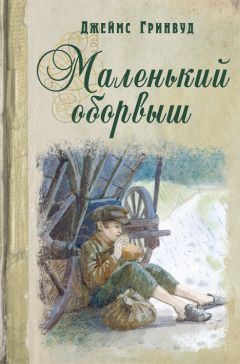 Джеймс Гринвуд - Маленький оборвыш - Читать 📖 Читать онлайн 👀 Читаемые книги читать онлайн бесплатно 🔥 booksread-online.com
