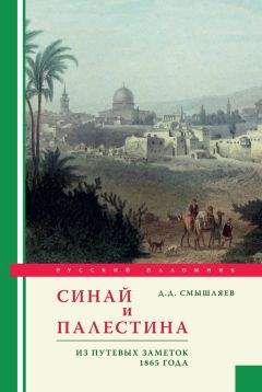 Дмитрий Смышляев - Синай и Палестина. Из путевых заметок 1865 года - Читать 📖 Читать онлайн 👀 Читаемые книги читать онлайн бесплатно 🔥 booksread-online.com