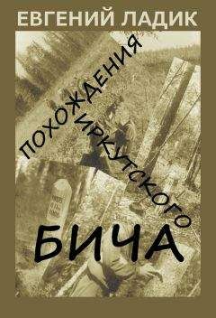 Евгений Ладик - Похождения иркутского бича - Читать | Читать онлайн | Читаемые книги читать онлайн бесплатно | booksread-online.com