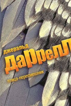 Джеральд Даррелл - Птица-пересмешник - Читать 📖 Читать онлайн 👀 Читаемые книги читать онлайн бесплатно 🔥 booksread-online.com