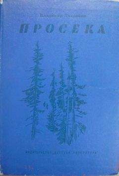 Владимир Ляленков - Просека - Читать 📖 Читать онлайн 👀 Читаемые книги читать онлайн бесплатно 🔥 booksread-online.com