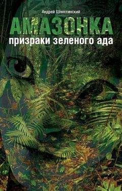 Андрей Шляхтинский - Амазонка: призраки зеленого ада - Читать 📖 Читать онлайн 👀 Читаемые книги читать онлайн бесплатно 🔥 booksread-online.com