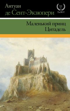 Антуан де Сент-Экзюпери - Маленький принц. Цитадель (сборник) - Читать 📖 Читать онлайн 👀 Читаемые книги читать онлайн бесплатно 🔥 booksread-online.com