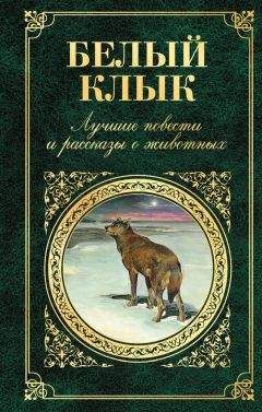Дхан Мукерджи - Белый Клык. Лучшие повести и рассказы о животных - Читать 📖 Читать онлайн 👀 Читаемые книги читать онлайн бесплатно 🔥 booksread-online.com