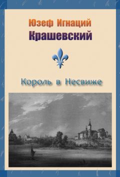 Юзеф Крашевский - Король в Несвиже (сборник) - Читать 📖 Читать онлайн 👀 Читаемые книги читать онлайн бесплатно 🔥 booksread-online.com