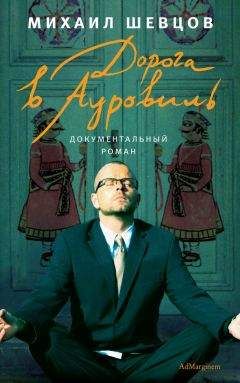 Михаил Шевцов - Дорога в Ауровиль - Читать | Читать онлайн | Читаемые книги читать онлайн бесплатно | booksread-online.com