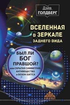 Дэйв Голдберг - Вселенная в зеркале заднего вида. Был ли Бог правшой? Или скрытая симметрия, антивещество и бозон Хиггса - Читать 📖 Читать онлайн 👀 Читаемые книги читать онлайн бесплатно 🔥 booksread-online.com