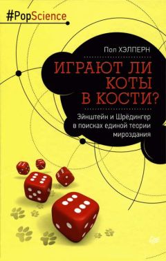 Пол Хэлперн - Играют ли коты в кости? Эйнштейн и Шрёдингер в поисках единой теории мироздания - Читать 📖 Читать онлайн 👀 Читаемые книги читать онлайн бесплатно 🔥 booksread-online.com