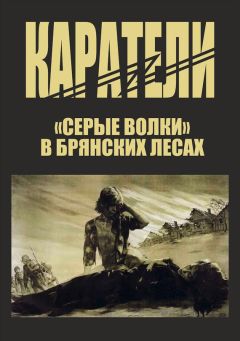 Петр Головачев - Каратели - Читать 📖 Читать онлайн 👀 Читаемые книги читать онлайн бесплатно 🔥 booksread-online.com