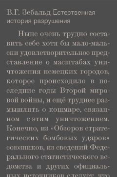 В. Зебальд - Естественная история разрушения - Читать 📖 Читать онлайн 👀 Читаемые книги читать онлайн бесплатно 🔥 booksread-online.com