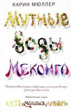 Карин Мюллер - Мутные воды Меконга - Читать 📖 Читать онлайн 👀 Читаемые книги читать онлайн бесплатно 🔥 booksread-online.com