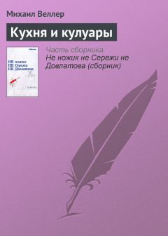 Михаил Веллер - Кухня и кулуары - Читать 📖 Читать онлайн 👀 Читаемые книги читать онлайн бесплатно 🔥 booksread-online.com