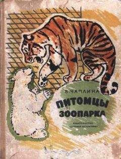 Вера Чаплина - Питомцы зоопарка - Читать 📖 Читать онлайн 👀 Читаемые книги читать онлайн бесплатно 🔥 booksread-online.com