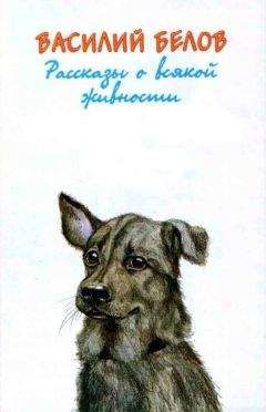 Василий Белов - Рассказы о всякой живности - Читать 📖 Читать онлайн 👀 Читаемые книги читать онлайн бесплатно 🔥 booksread-online.com