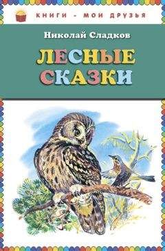 Николай Сладков - Лесные сказки - Читать 📖 Читать онлайн 👀 Читаемые книги читать онлайн бесплатно 🔥 booksread-online.com