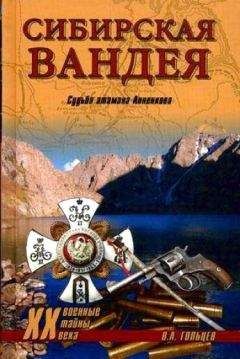 Вадим Гольцев - Сибирская Вандея. Судьба атамана Анненкова - Читать | Читать онлайн | Читаемые книги читать онлайн бесплатно | booksread-online.com