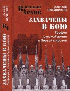 Алексей Олейников - Захвачены в бою. Трофеи русской армии в Первой мировой - Читать 📖 Читать онлайн 👀 Читаемые книги читать онлайн бесплатно 🔥 booksread-online.com