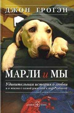 Джон Грогэн - Марли и мы - Читать 📖 Читать онлайн 👀 Читаемые книги читать онлайн бесплатно 🔥 booksread-online.com