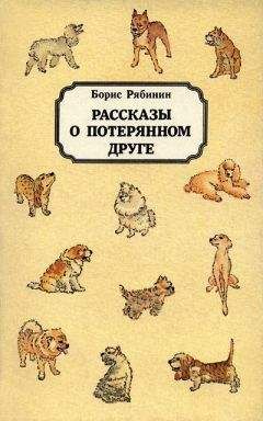 Борис Рябинин - Рассказы о потерянном друге - Читать 📖 Читать онлайн 👀 Читаемые книги читать онлайн бесплатно 🔥 booksread-online.com