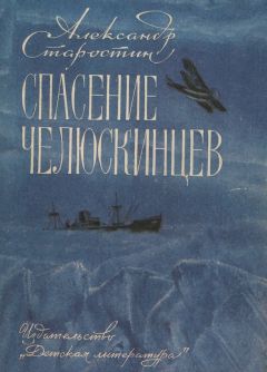 Александр Старостин - Спасение челюскинцев - Читать 📖 Читать онлайн 👀 Читаемые книги читать онлайн бесплатно 🔥 booksread-online.com