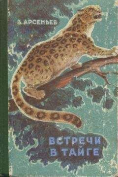Владимир Арсеньев - Встречи в тайге - Читать 📖 Читать онлайн 👀 Читаемые книги читать онлайн бесплатно 🔥 booksread-online.com