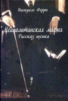 Паскуале Ферро - Неаполитанская мафия. Рассказ щенка - Читать 📖 Читать онлайн 👀 Читаемые книги читать онлайн бесплатно 🔥 booksread-online.com