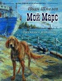 Иван Шмелев - Мой Марс - Читать 📖 Читать онлайн 👀 Читаемые книги читать онлайн бесплатно 🔥 booksread-online.com