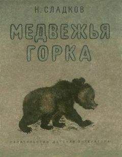 Николай Сладков - Медвежья горка - Читать 📖 Читать онлайн 👀 Читаемые книги читать онлайн бесплатно 🔥 booksread-online.com
