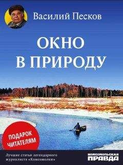 Василий Песков - Окно в природу - Читать 📖 Читать онлайн 👀 Читаемые книги читать онлайн бесплатно 🔥 booksread-online.com