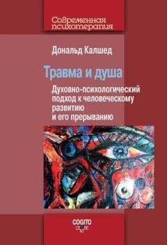 Дональд Калшед - Травма и душа. Духовно-психологический подход к человеческому развитию и его прерыванию - Читать 📖 Читать онлайн 👀 Читаемые книги читать онлайн бесплатно 🔥 booksread-online.com