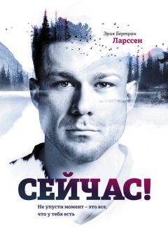 Эрик Ларссен - Сейчас! Не упусти момент – это все, что у тебя есть - Читать | Читать онлайн | Читаемые книги читать онлайн бесплатно | booksread-online.com
