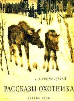 Георгий Скребицкий - Рассказы охотника - Читать 📖 Читать онлайн 👀 Читаемые книги читать онлайн бесплатно 🔥 booksread-online.com
