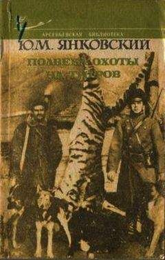 Юрий Янковский - Полвека охоты на тигров - Читать | Читать онлайн | Читаемые книги читать онлайн бесплатно | booksread-online.com