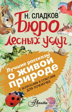 Николай Сладков - Бюро лесных услуг. С вопросами и ответами для почемучек - Читать 📖 Читать онлайн 👀 Читаемые книги читать онлайн бесплатно 🔥 booksread-online.com