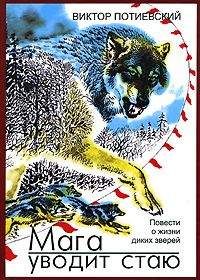 Виктор Потиевский - МАГА УВОДИТ СТАЮ - Читать 📖 Читать онлайн 👀 Читаемые книги читать онлайн бесплатно 🔥 booksread-online.com