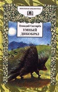 Геннадий Снегирёв - Умный дикобраз - Читать | Читать онлайн | Читаемые книги читать онлайн бесплатно | booksread-online.com