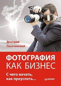 Дмитрий Песочинский - Фотография как бизнес: с чего начать, как преуспеть - Читать | Читать онлайн | Читаемые книги читать онлайн бесплатно | booksread-online.com