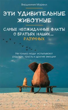 Вирджиния Морелл - Эти удивительные животные. Самые неожиданные факты о братьях наших… разумных - Читать 📖 Читать онлайн 👀 Читаемые книги читать онлайн бесплатно 🔥 booksread-online.com
