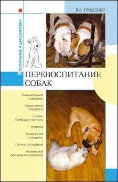 В. Гриценко - Перевоспитание собак - Читать 📖 Читать онлайн 👀 Читаемые книги читать онлайн бесплатно 🔥 booksread-online.com