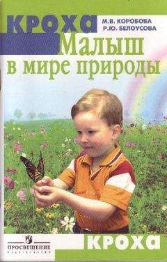 М. Коробова - Малыш в мире природы - Читать 📖 Читать онлайн 👀 Читаемые книги читать онлайн бесплатно 🔥 booksread-online.com