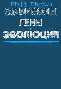 Рудольф Рэфф - Эмбрионы, гены и эволюция - Читать 📖 Читать онлайн 👀 Читаемые книги читать онлайн бесплатно 🔥 booksread-online.com
