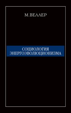 Михаил Веллер - Социология энергоэволюционизма - Читать 📖 Читать онлайн 👀 Читаемые книги читать онлайн бесплатно 🔥 booksread-online.com