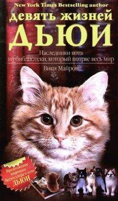 Вики Майрон - Девять жизней Дьюи. Наследники кота из библиотеки, который потряс весь мир - Читать 📖 Читать онлайн 👀 Читаемые книги читать онлайн бесплатно 🔥 booksread-online.com