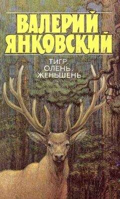 Валерий Янковский - Тигр, олень, женьшень - Читать 📖 Читать онлайн 👀 Читаемые книги читать онлайн бесплатно 🔥 booksread-online.com